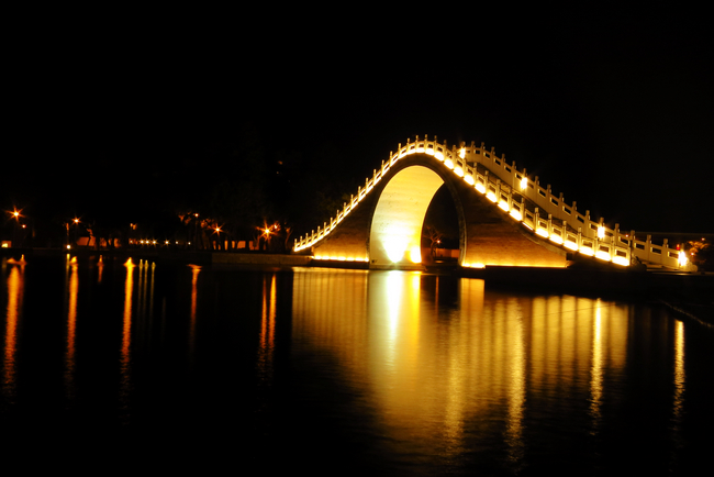 台北內湖景點 落羽松 大湖公園