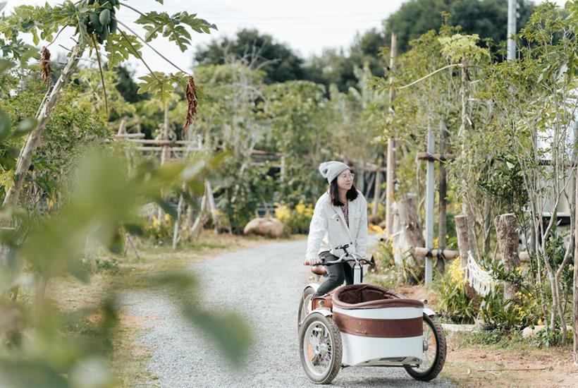 小巷清風 苗栗卓蘭露營車家庭親子度假豪華住宿體驗訂房預訂推薦